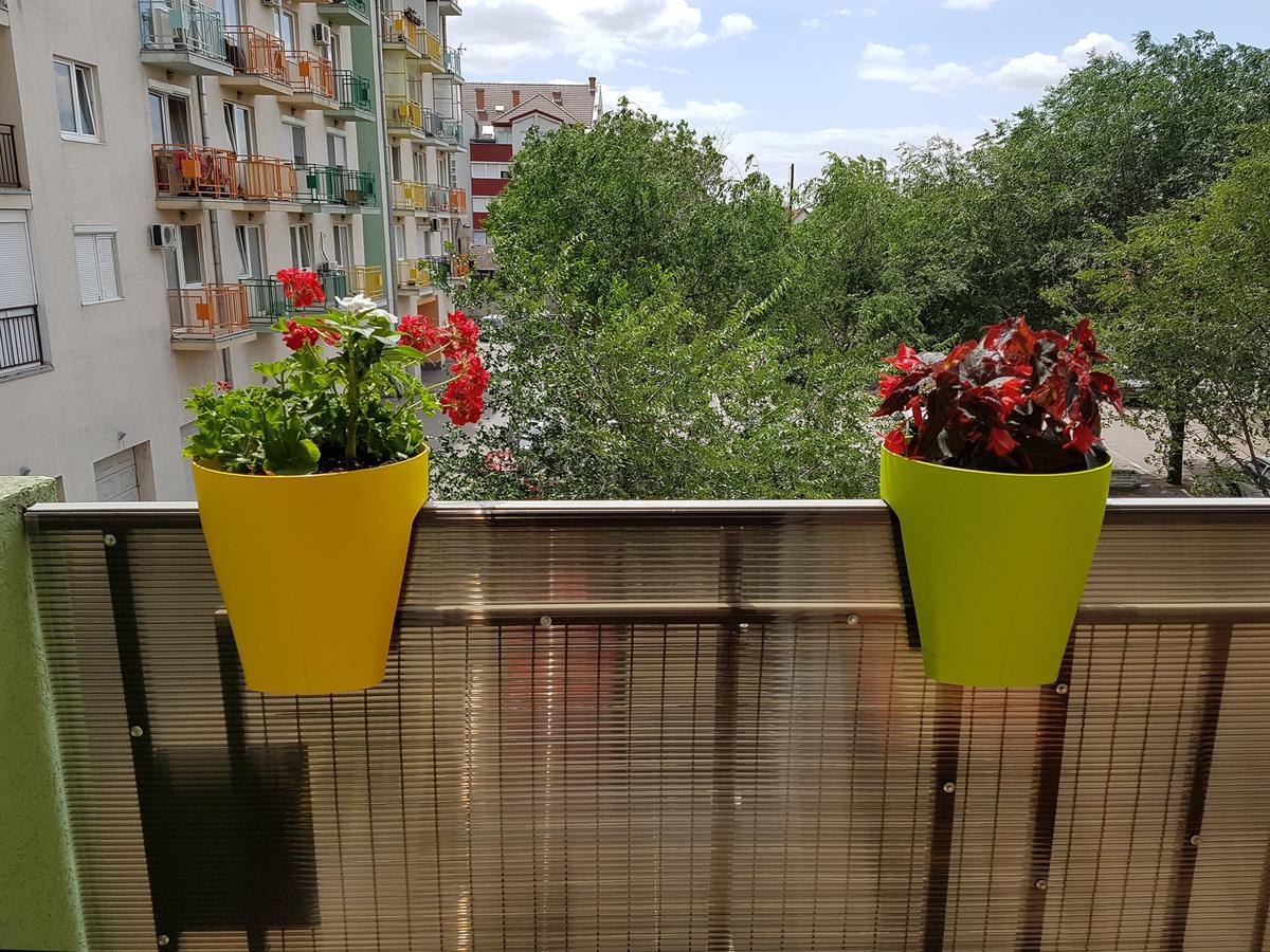 Apartman Boska Subotica Luaran gambar